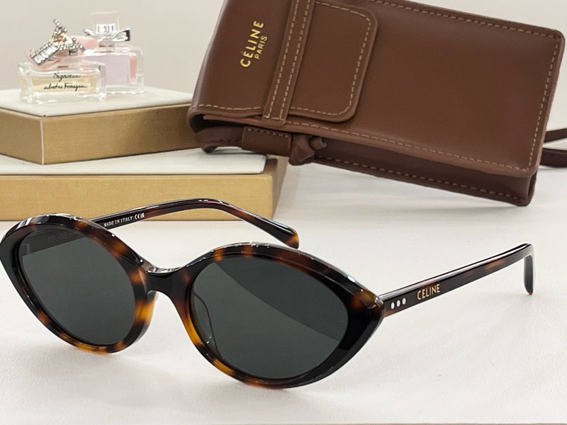 Celine Glasses smx (651)